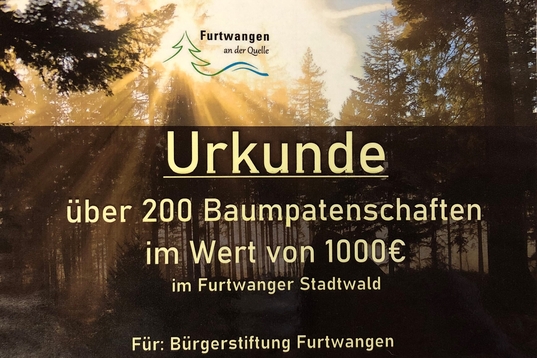Urkunde Baumpflanzaktion scaled