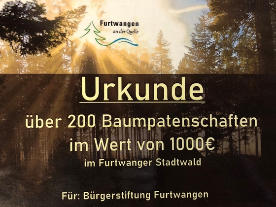 Urkunde Baumpflanzaktion scaled